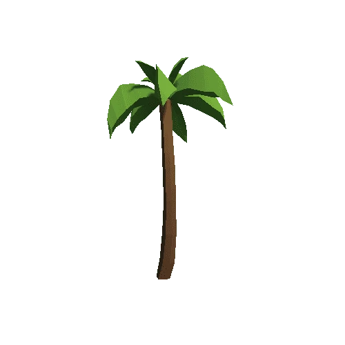 Palm-Tree_B_10
