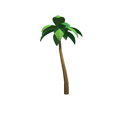 Palm-Tree_C_01