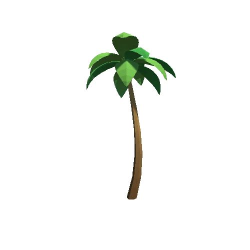 Palm-Tree_C_02