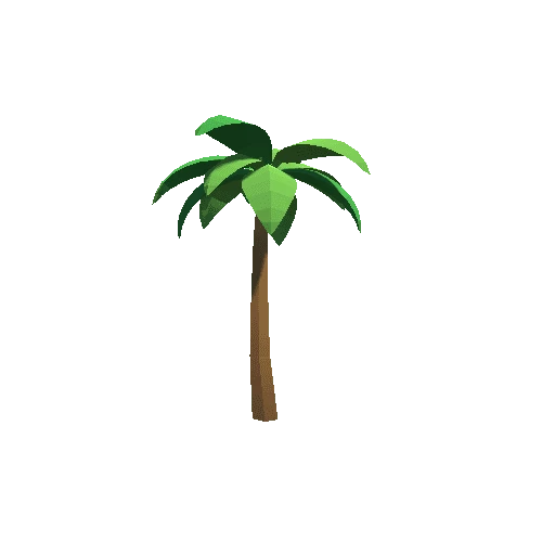 Palm-Tree_C_03