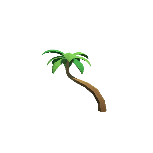 Palm-Tree_C_04