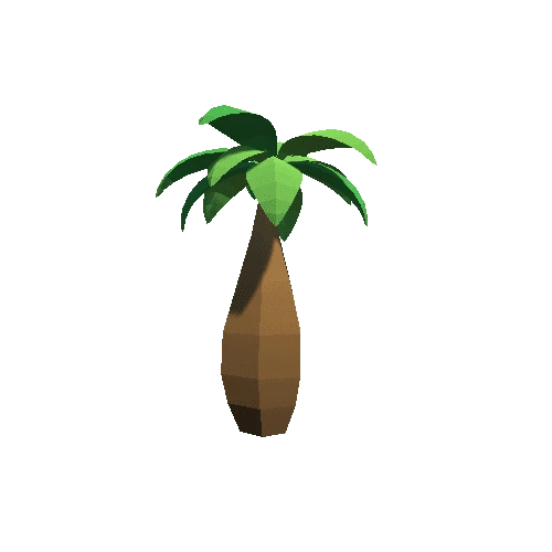 Palm-Tree_C_05