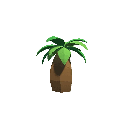 Palm-Tree_C_06