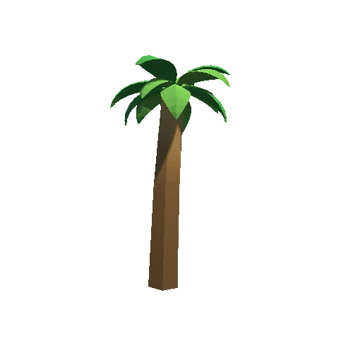 Palm-Tree_C_07