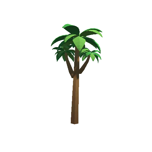 Palm-Tree_C_08