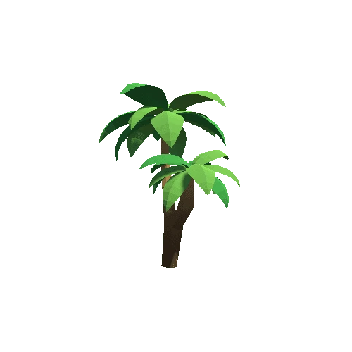 Palm-Tree_C_09