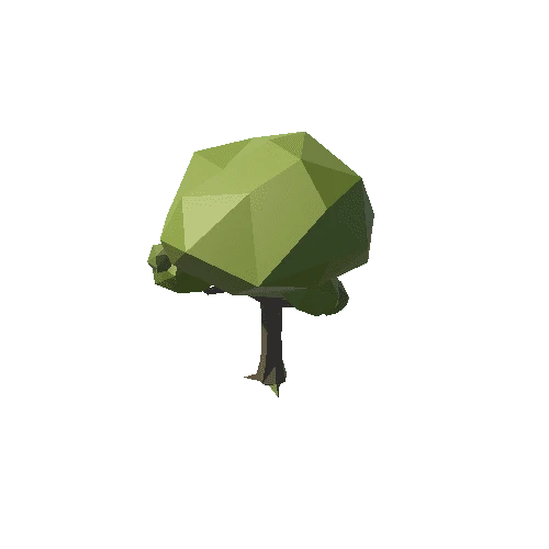 LP_Tree3