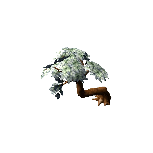 FantasyBonsai_s10