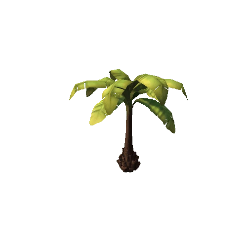 PalmTree_2_2sided_s2