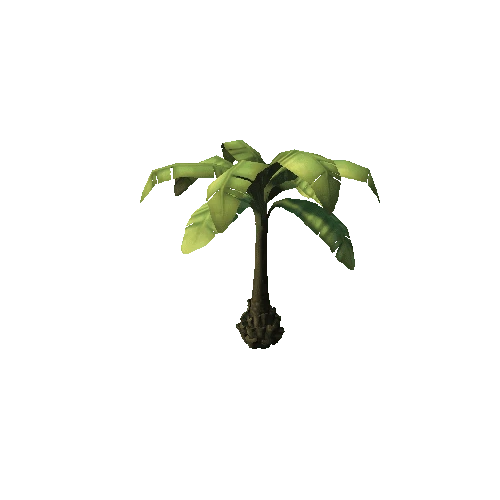 PalmTree_2_2sided_s4