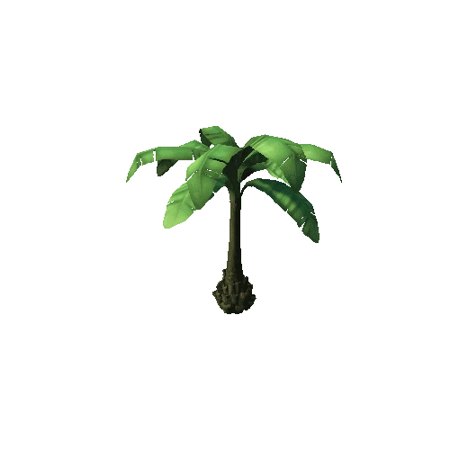 PalmTree_2_2sided_s5