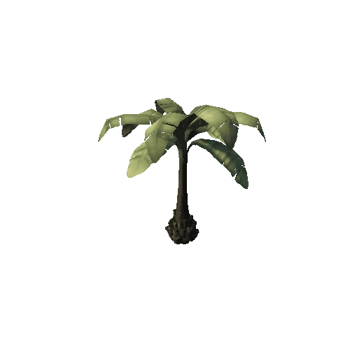 PalmTree_2_2sided_s6