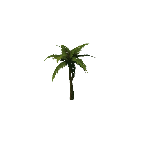 PalmTree_3_s1