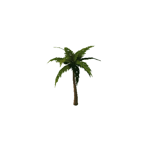 PalmTree_3_s2