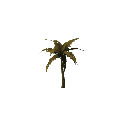 PalmTree_3_s3