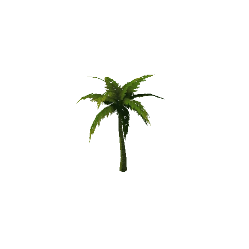 PalmTree_3_s6