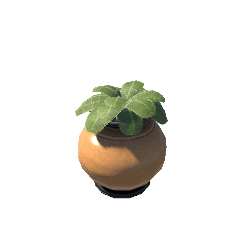 Vase_Plant_013