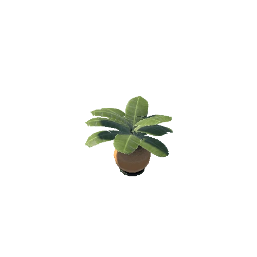 Vase_Plant_014