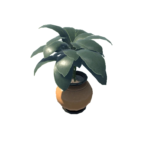 Vase_Plant_016