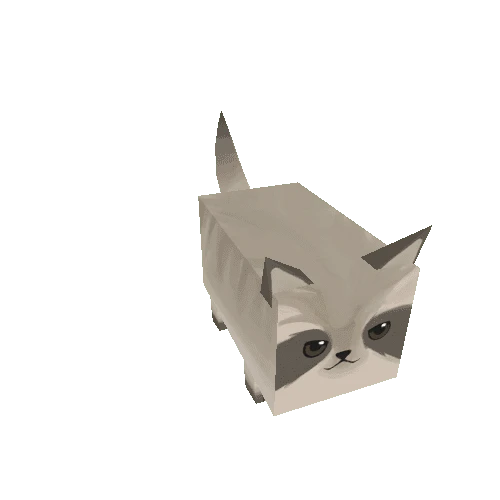 Cube-Animal-Raccoon