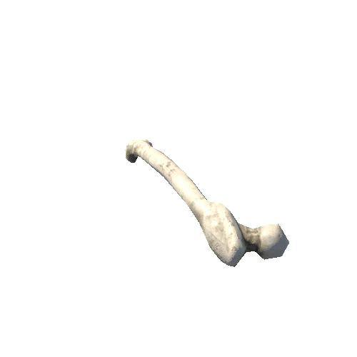 Bone3_Simple