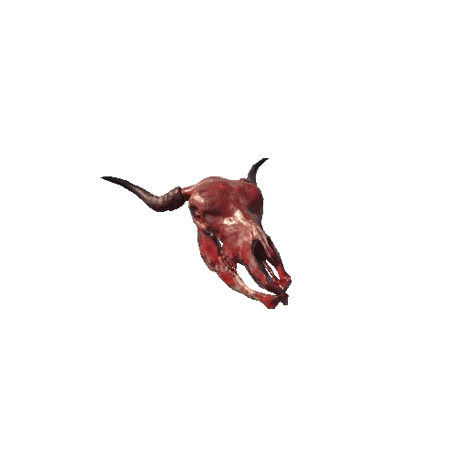 CowSkull_Bloody