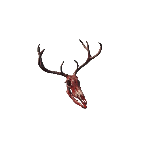 DeerSkull_Bloody