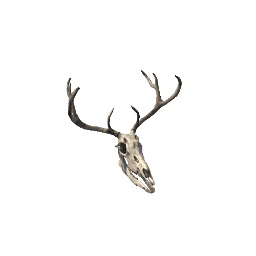 DeerSkull_Simple