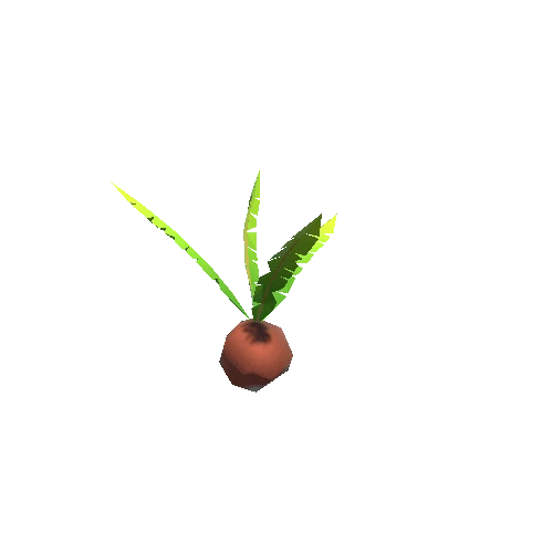 Coconut_Plant