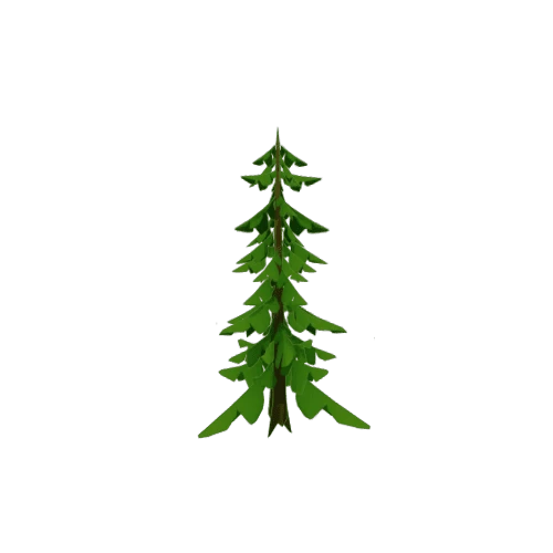 Conifer_Proxy