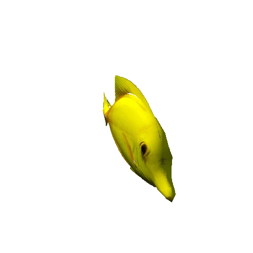 yellow_fish