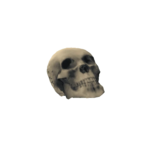 prefab_skull