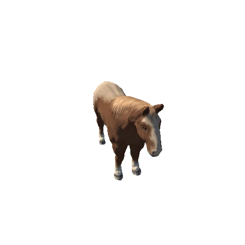 Piebald_horse_Mesh