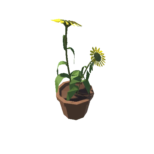 Pot_Flower_2