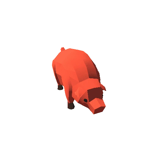 Pig