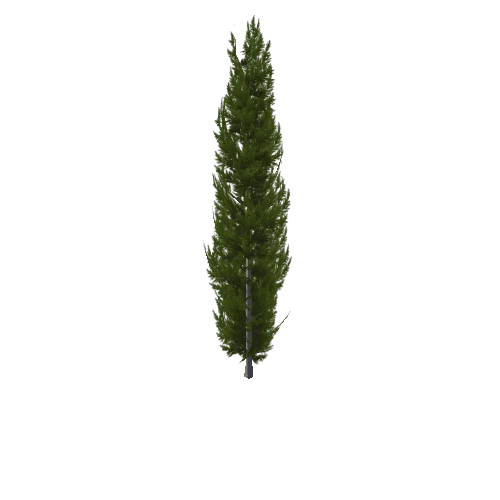 Cypress_v1_1