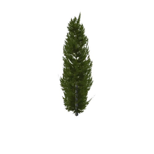 Cypress_v1_2