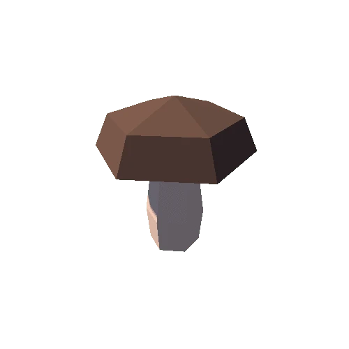 mushroom_boletus