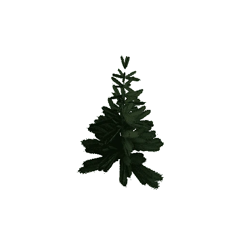 PineTree