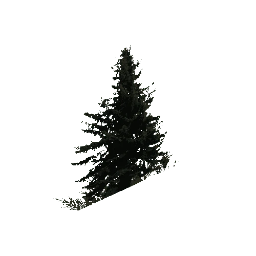 tree_1