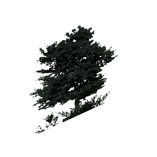 tree_3
