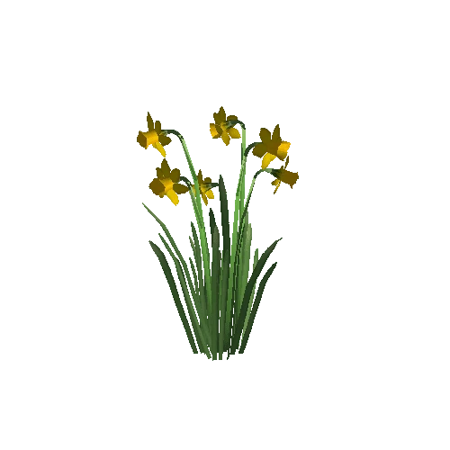 Narcissus3A