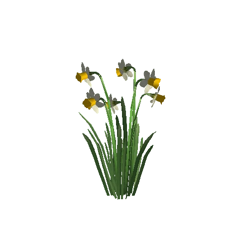 Narcissus3B