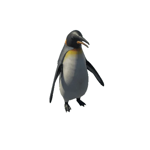 Penguin_RM_SV_HP