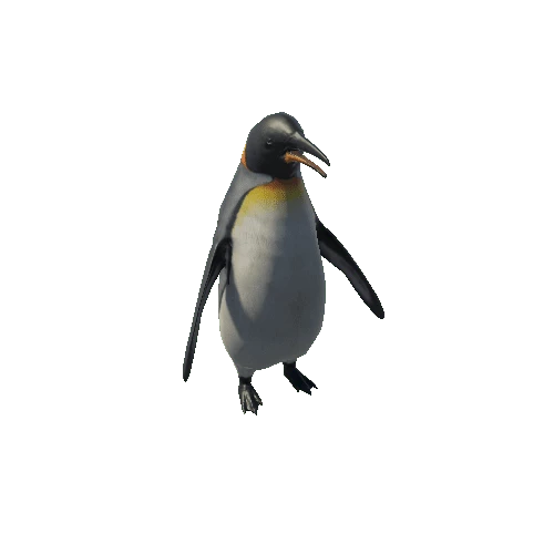 Penguin_RM_SV_LP