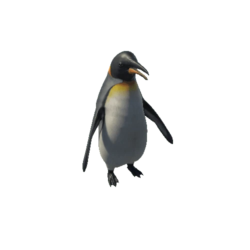 Penguin_RM_SV_SHP