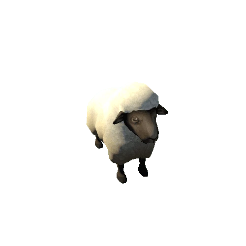 Sheep_s2