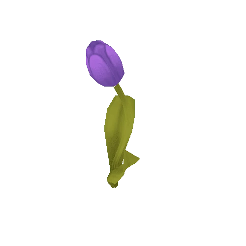 Flower_05_02