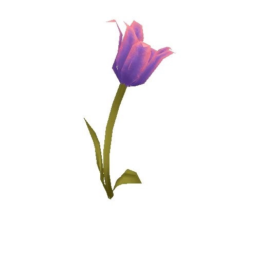 Flower_10_01