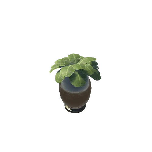 Vase_Plant_05